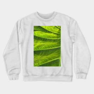 Leaf Crewneck Sweatshirt